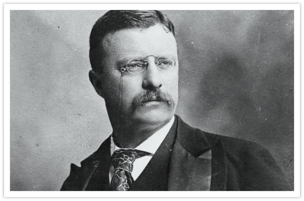 deep work | image 07 | teddy roosevelt